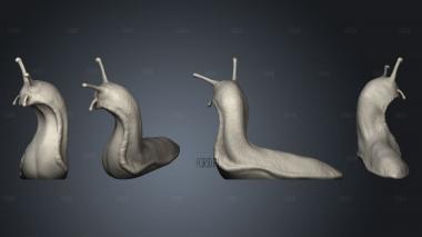 Skull Snail body 002 stl model for CNC