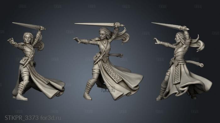 Battlemages and Spellblades Female Mage 3d stl for CNC