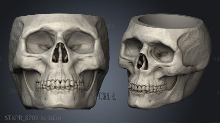 Chalice Skull 3d stl for CNC