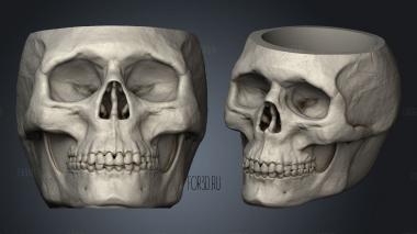 Chalice Skull stl model for CNC