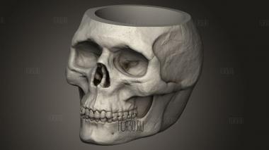 Череп-Чаша 3d stl модель для ЧПУ