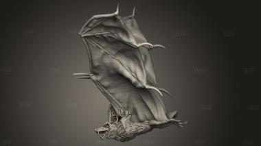 Ядро Гигантской Летучей Мыши 3d stl модель для ЧПУ