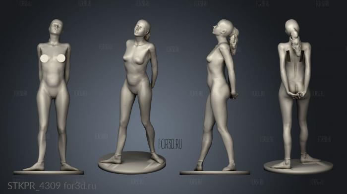 STKPR_4309 3d stl модель для ЧПУ