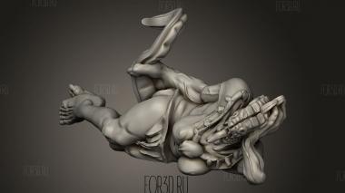 Женский Лагерь мегавозрастных Ящеров Спит 3d stl модель для ЧПУ