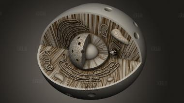 Многоклеточная центриоль 3d stl модель для ЧПУ