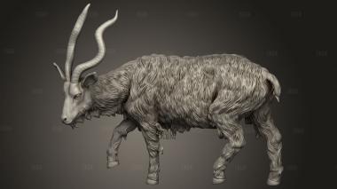 Кинвари-Дикий канварский козел 3d stl модель для ЧПУ