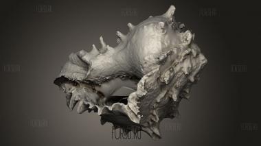 Королева моря 3d stl модель для ЧПУ