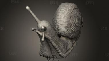 Череп Улитки 3d stl модель для ЧПУ
