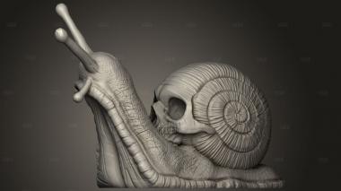 Череп Улитки 3d stl модель для ЧПУ
