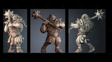 STKPR_6764 stl model for CNC