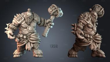 STKPR_6858 stl model for CNC