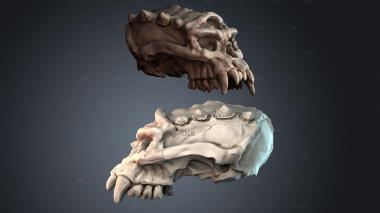 STKPR_6876 stl model for CNC