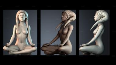 STKPR_7004 stl model for CNC