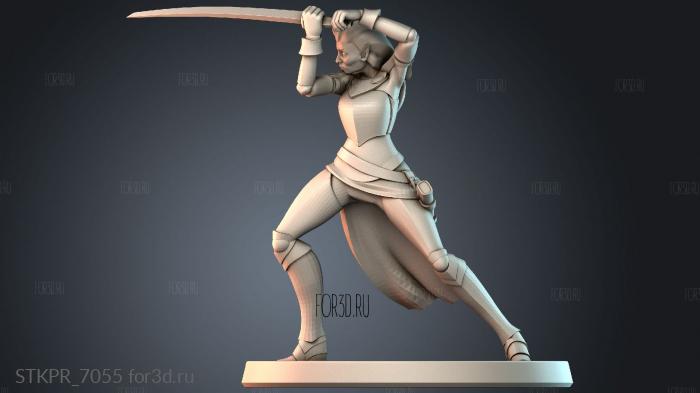 STKPR_7055 3d stl for CNC