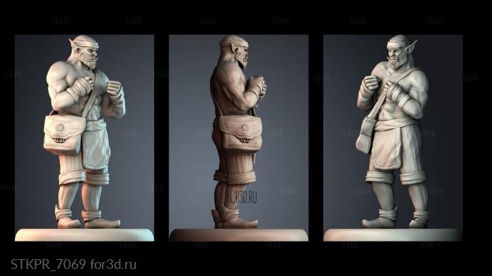 STKPR_7069 3d stl for CNC