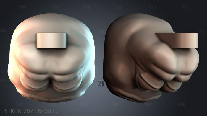 STKPR_7071 3d stl for CNC