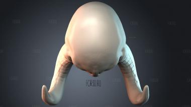 STKPR_7117 stl model for CNC