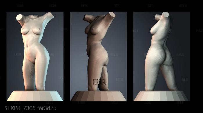 STKPR_7305 3d stl модель для ЧПУ