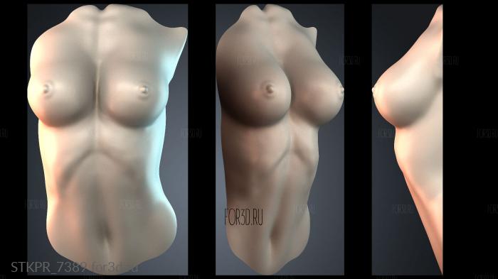 STKPR_7389 3d stl модель для ЧПУ