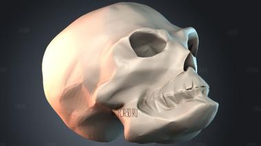 STKPR_7444 stl model for CNC