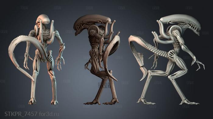 STKPR_7457 3d stl модель для ЧПУ