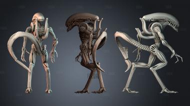 STKPR_7457 stl model for CNC