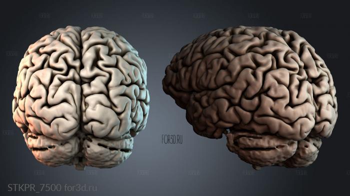 STKPR_7500 3d stl модель для ЧПУ