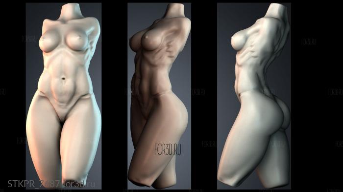 STKPR_7687 3d stl модель для ЧПУ