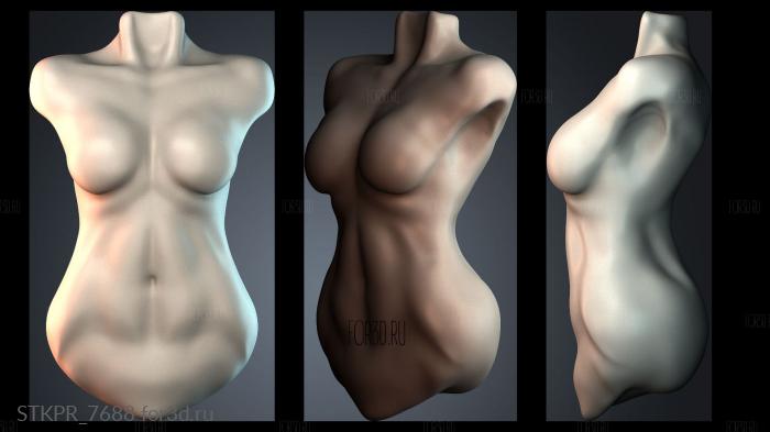 STKPR_7688 3d stl модель для ЧПУ