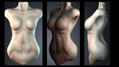 STKPR_7688 stl model for CNC