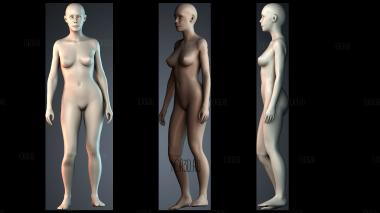 STKPR_7723 stl model for CNC