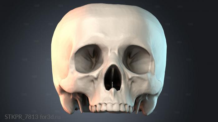 STKPR_7813 3d stl модель для ЧПУ