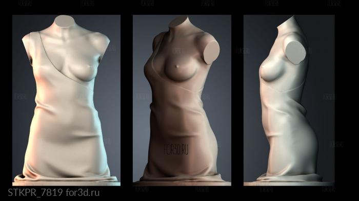 STKPR_7819 3d stl модель для ЧПУ