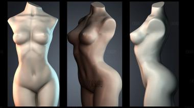 STKPR_7860 stl model for CNC