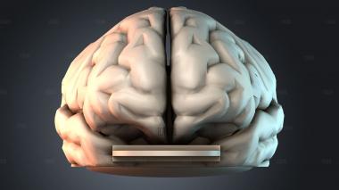 STKPR_7986 stl model for CNC