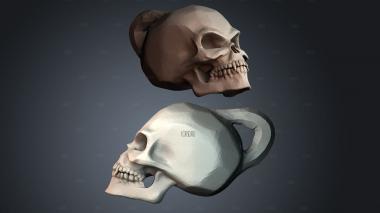 STKPR_8021 stl model for CNC