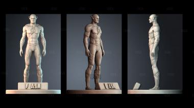 STKPR_8196 stl model for CNC