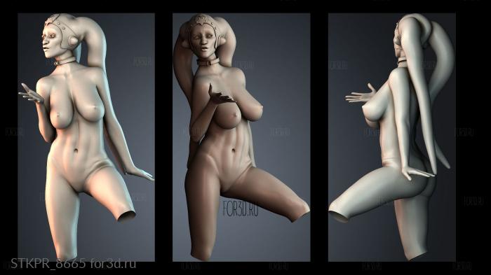 STKPR_8665 3d stl модель для ЧПУ