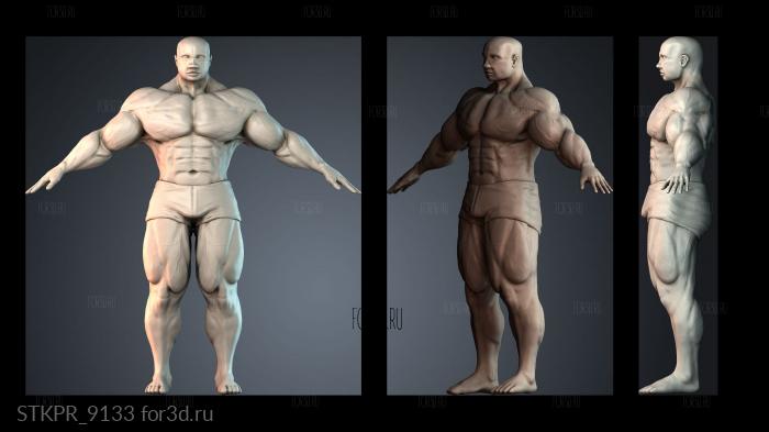 STKPR_9133 3d stl for CNC