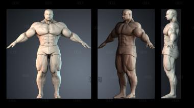 STKPR_9133 stl model for CNC