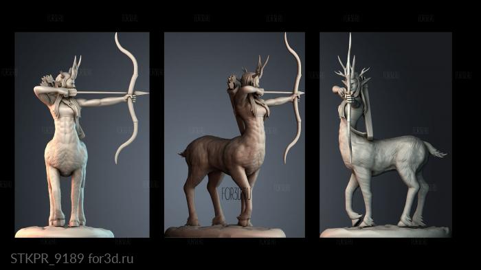 STKPR_9189 3d stl for CNC