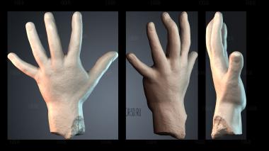 STKPR_9753 stl model for CNC