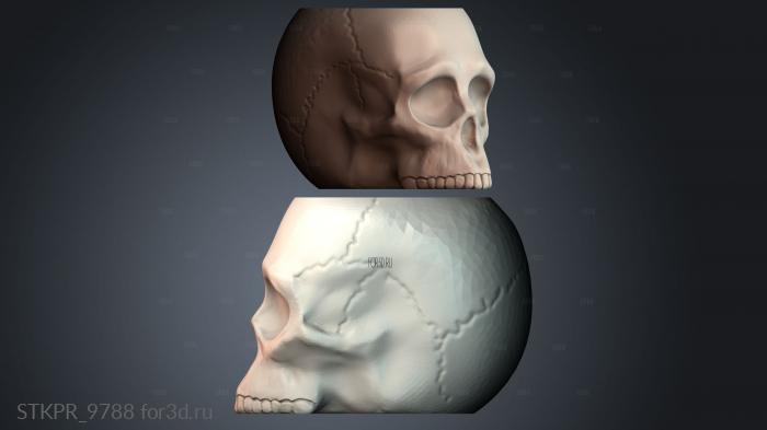 STKPR_9788 3d stl модель для ЧПУ