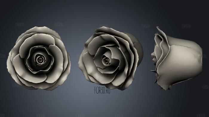 Rose 2 stl model for CNC