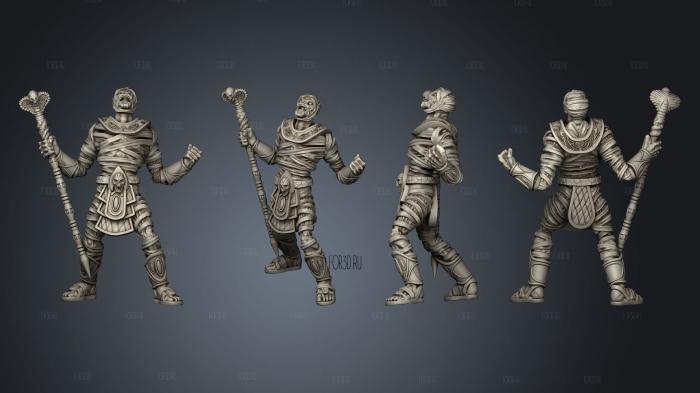 Mummy Mage Angry 3d stl модель для ЧПУ