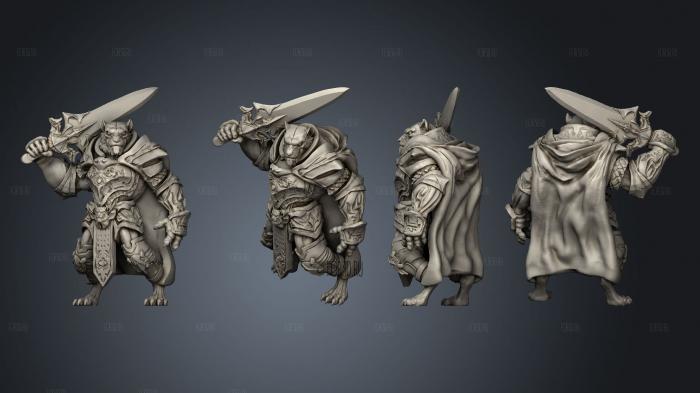 Tabaxi 10 Paladin Male stl model for CNC