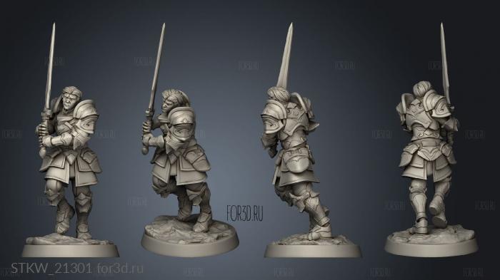 The Heroes Core Expansion Human Paladin 3d stl модель для ЧПУ