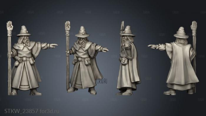 Wizard Proto stl model for CNC