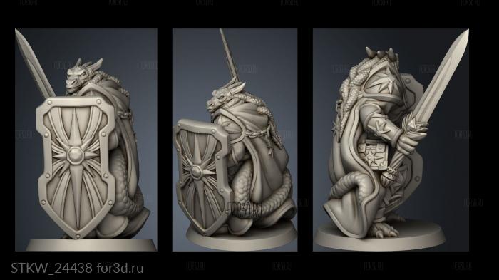 ADVENT DRAGON Paladin WOMAN stl model for CNC