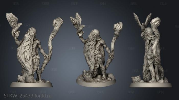 druid male stl model for CNC